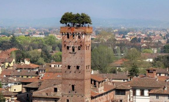 lucca guinigi tower